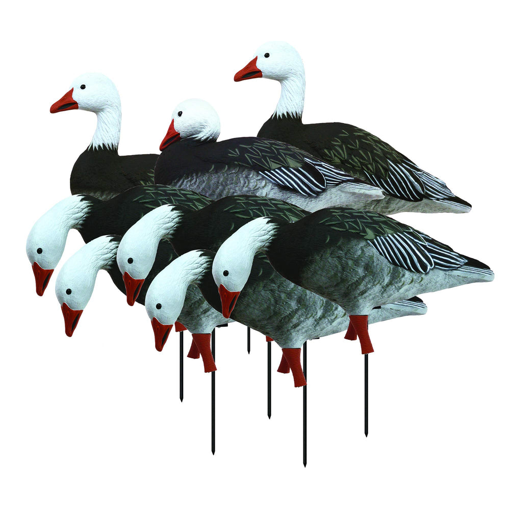 Higdon Outdoors APEX Sentry decoy in a spread to boost field visibility for shots
