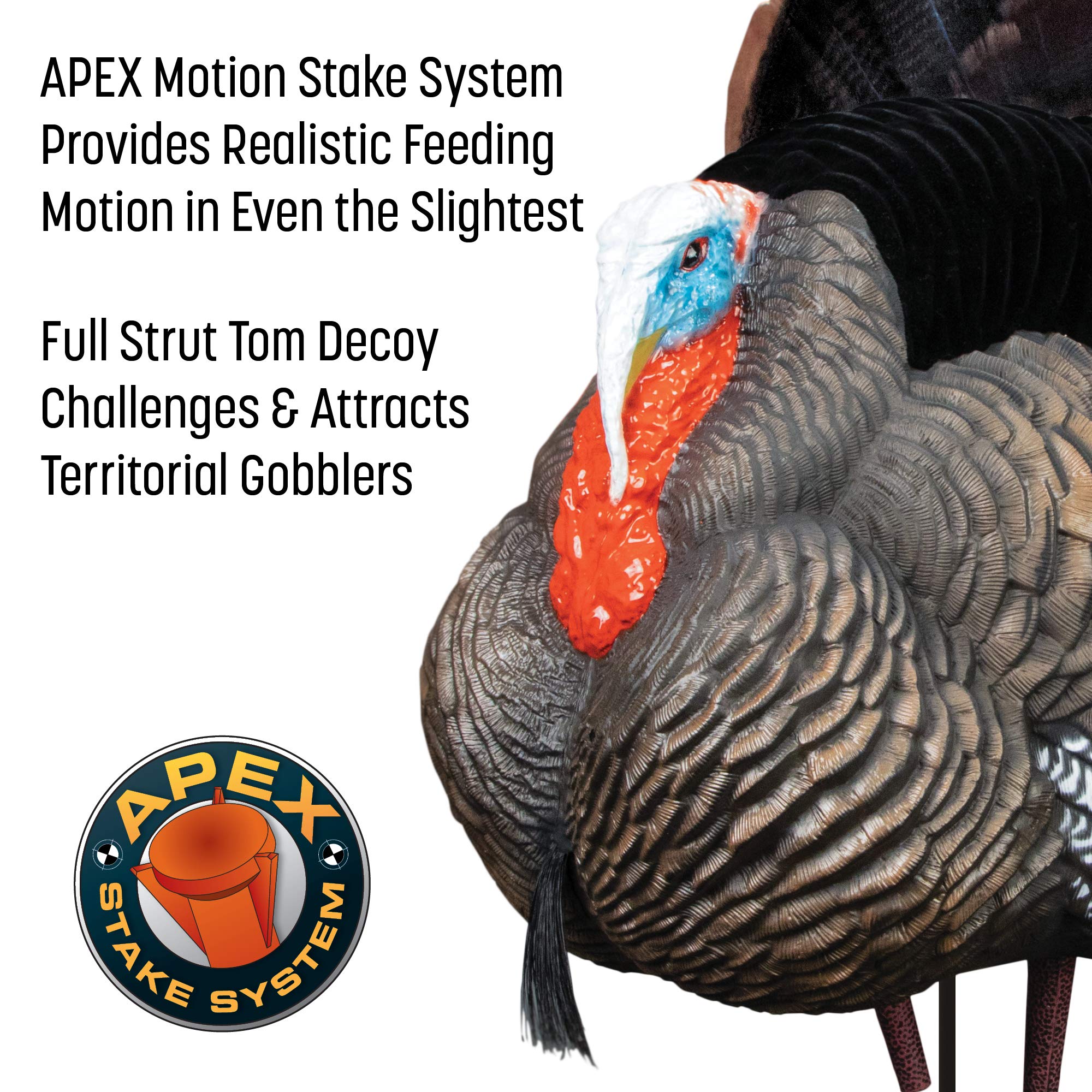 Higdon Apex removable fan for flexible posing and reaping use