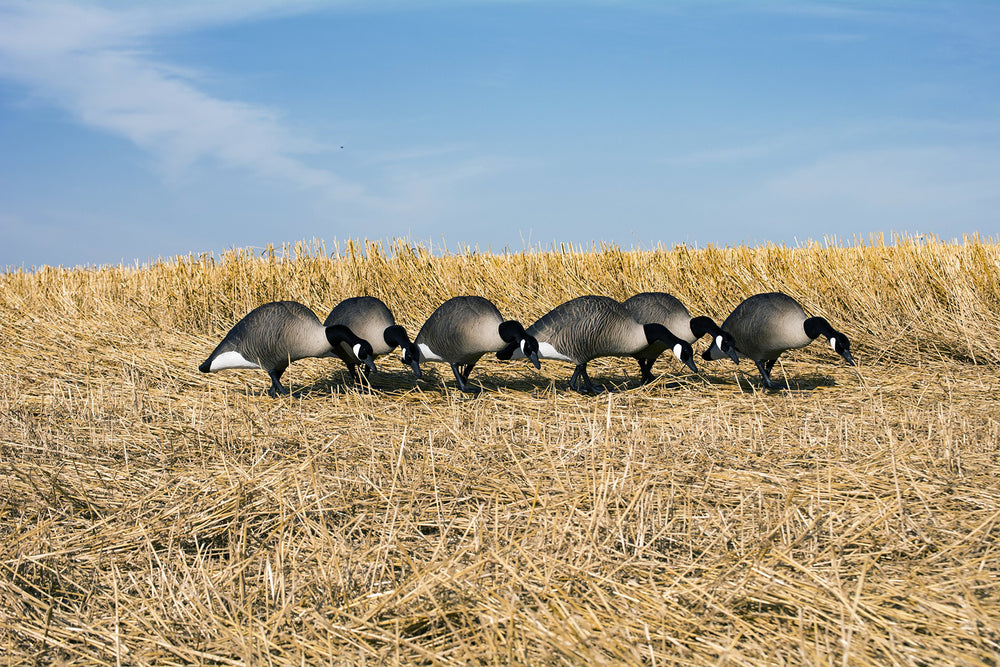 Ducks Unlimited licensed Higdon decoys support conservation while improving hunting setups