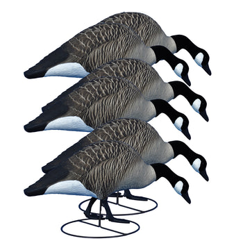 Higdon Outdoors Alpha Magnum TruFeeder full-body Canada goose decoy in action for distant geese