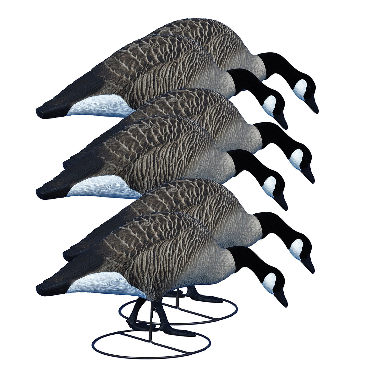 Higdon Outdoors Alpha Magnum TruFeeder full-body Canada goose decoy in action for distant geese