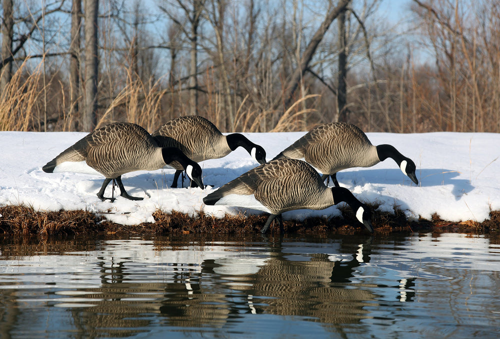 Close-up on UV-resistant finish preserving realism on Higdon Alpha Magnum TruFeeder decoy
