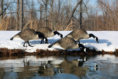 Close-up on UV-resistant finish preserving realism on Higdon Alpha Magnum TruFeeder decoy