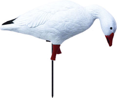 Higdon Outdoors APEX Feeder goose decoy creates natural feeding posture in spreads.