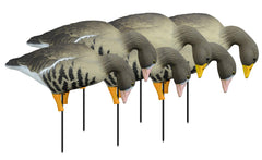 Higdon Outdoors Apex full-body TruFeeder decoy with lifelike silhouette for Specklebelly geese