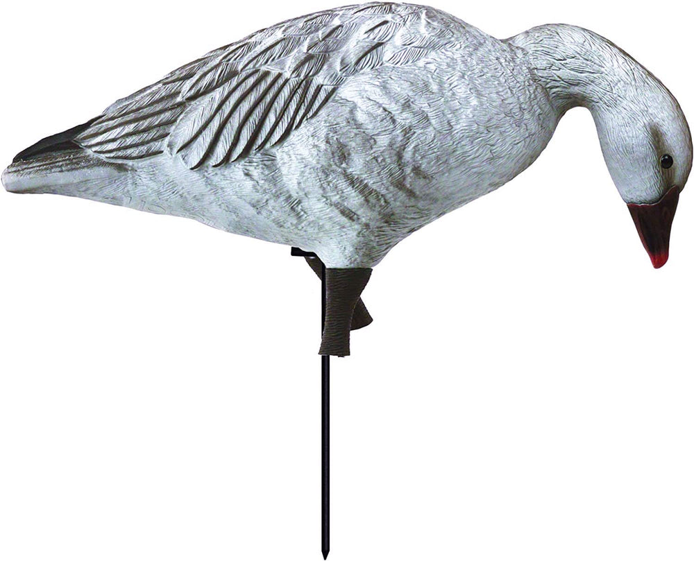 Higdon Outdoors APEX full-body goose decoy demonstrates lifelike size and posture.
