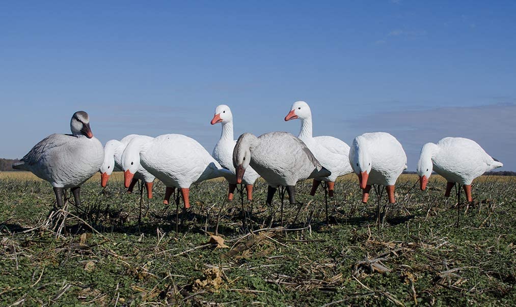 Higdon Outdoors APEX wind motion system animates in light breeze for realism.