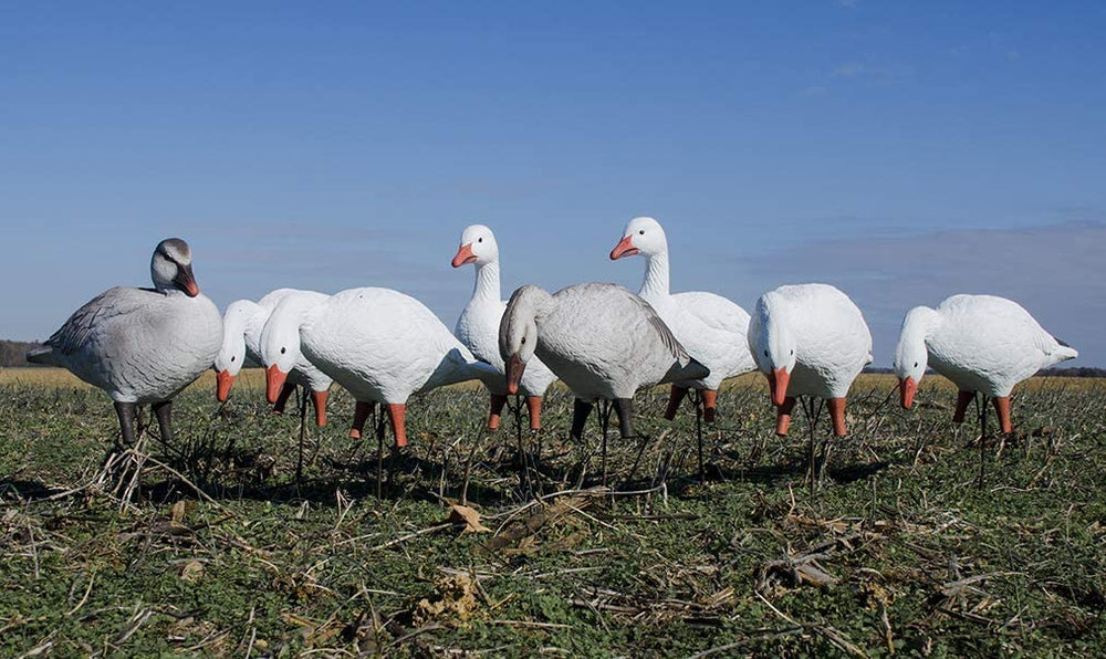 Higdon Outdoors APEX wind motion system animates in light breeze for realism.