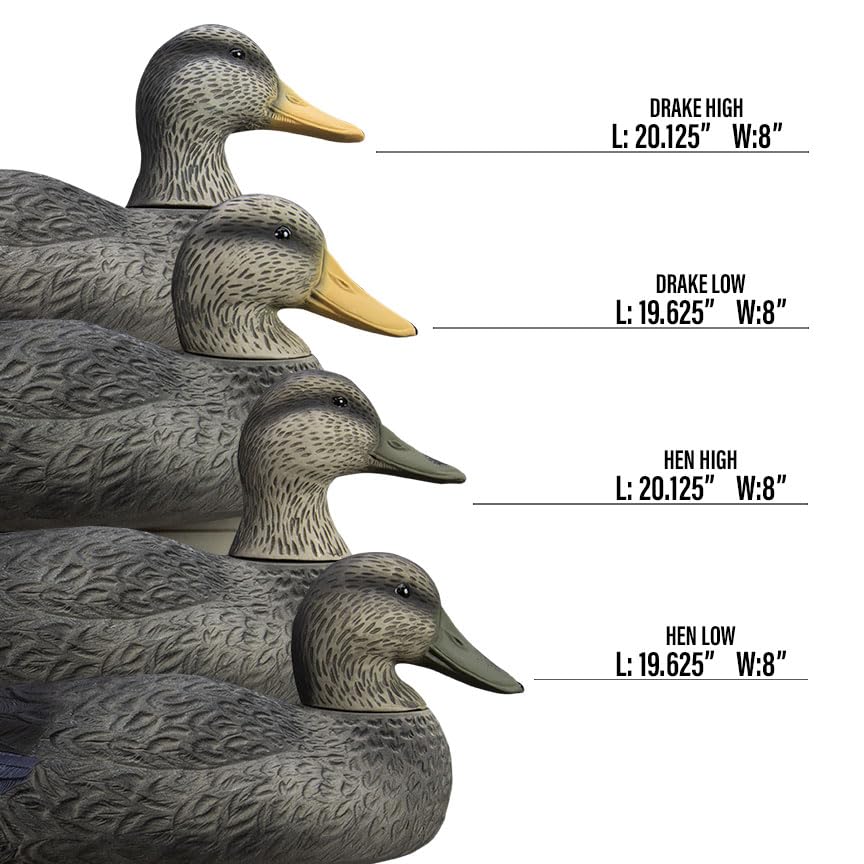 Higdon Outdoors Battleship Black Duck Decoys close-up detail shows carved realism and UV paint.