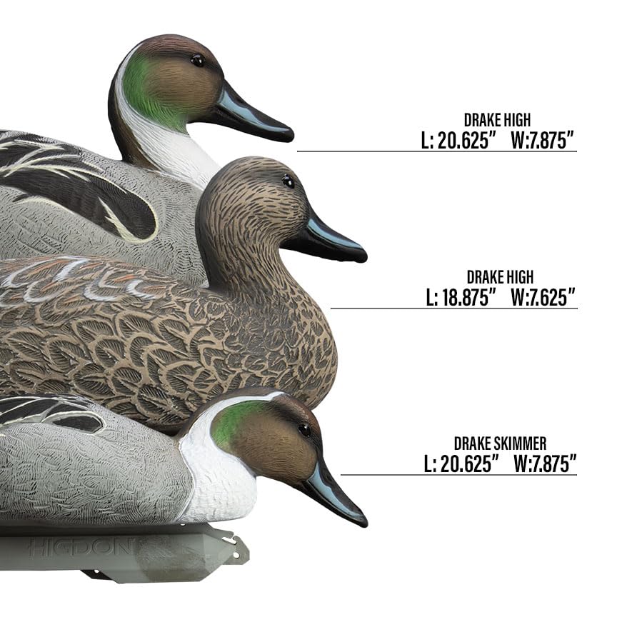 Higdon Outdoors Battleship Pintail durable foam-filled decoy designed for rough water use.