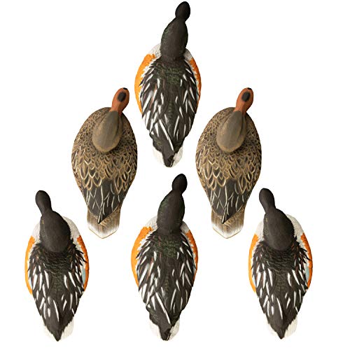 Higdon Outdoors Battleship Shoveler 6-pack display highlights four drakes and two hens.