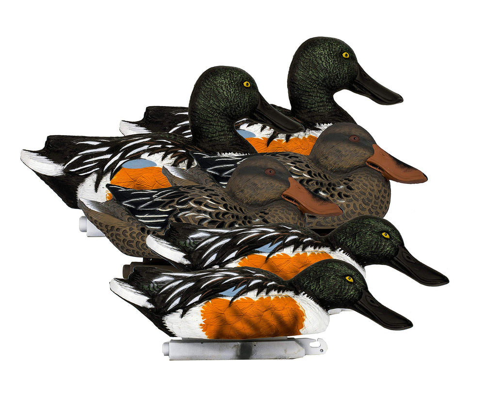 Higdon Outdoors Battleship Shoveler drake close-up boosts visibility for long-range attraction.