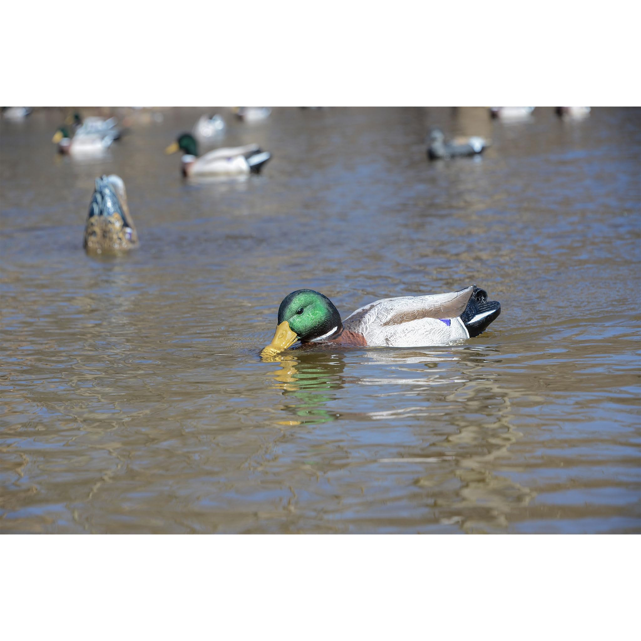 Higdon Outdoors Battleship Swimmer PRO with foam-filled design for durable field performance