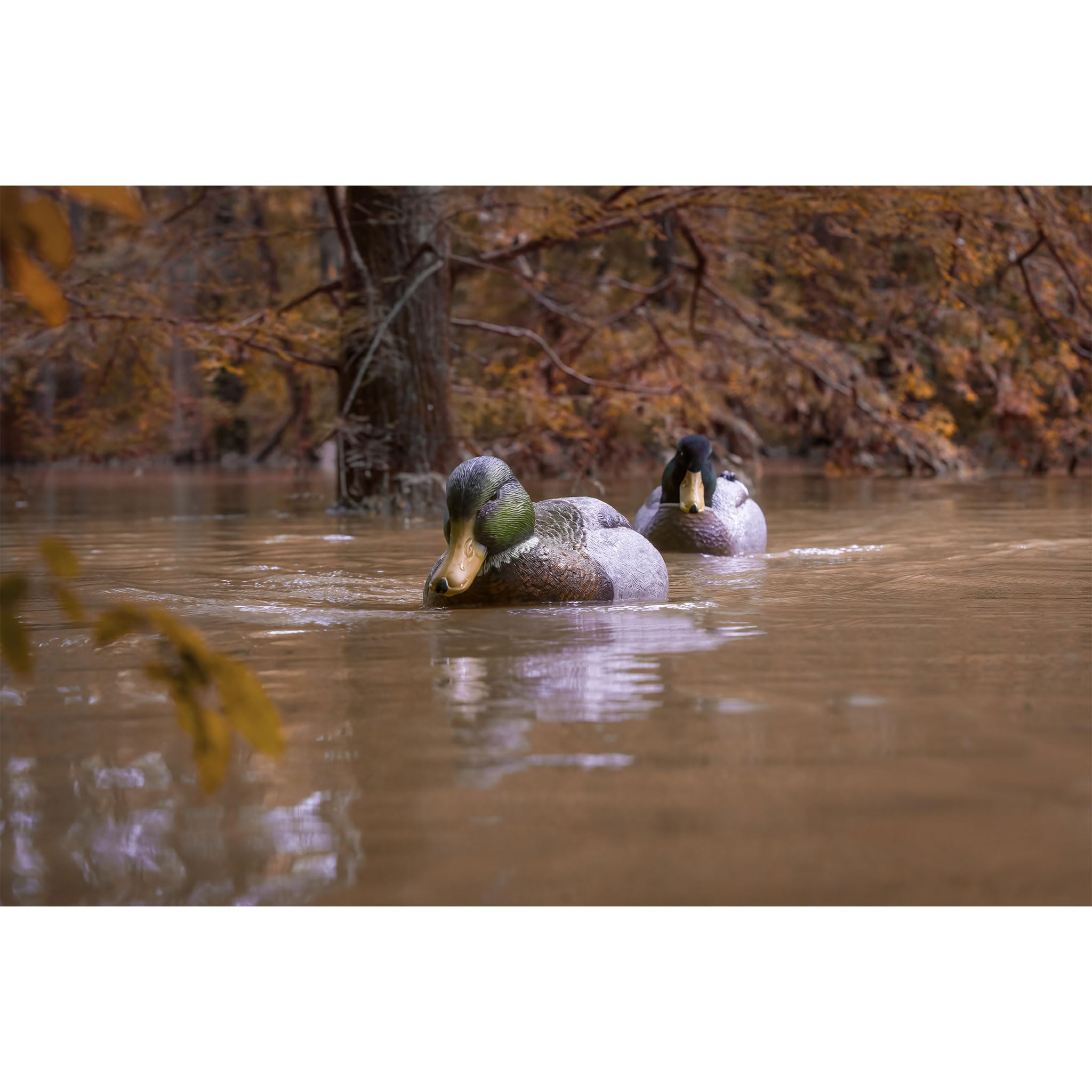 Higdon Outdoors Battleship Swimmer Pro magnetic on/off switch improves quick setup.