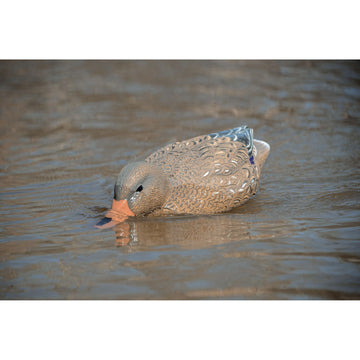 Higdon Outdoors Battleship Swimmer PRO Mallard Hen in water shows robust motion and quick setup