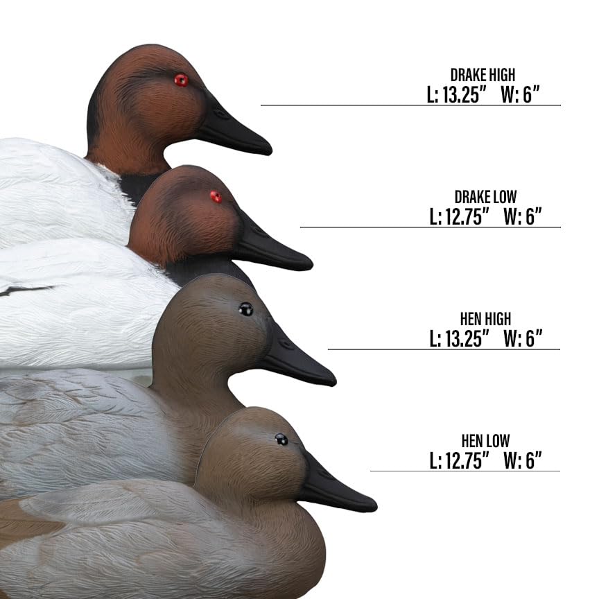 Higdon Outdoors canvasback 12-pack package shot for versatile spread options.