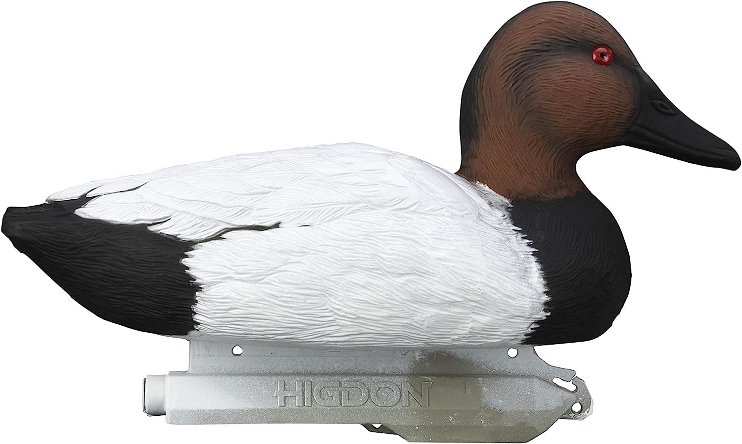 Higdon Outdoors canvasback resting drake decoy showing natural silhouette for realism.