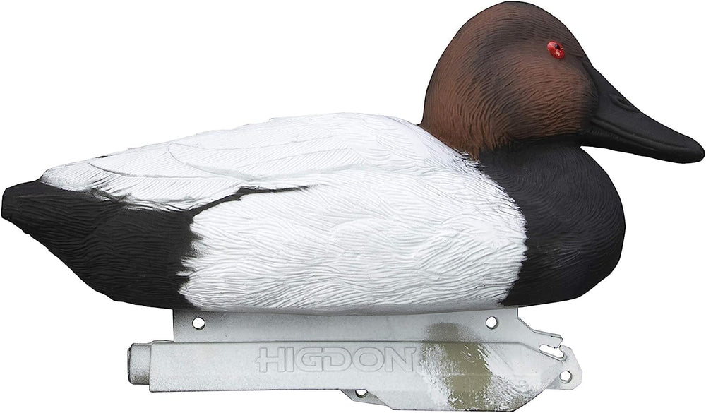 Higdon Outdoors canvasback resting hen decoy highlights realistic feather tones.