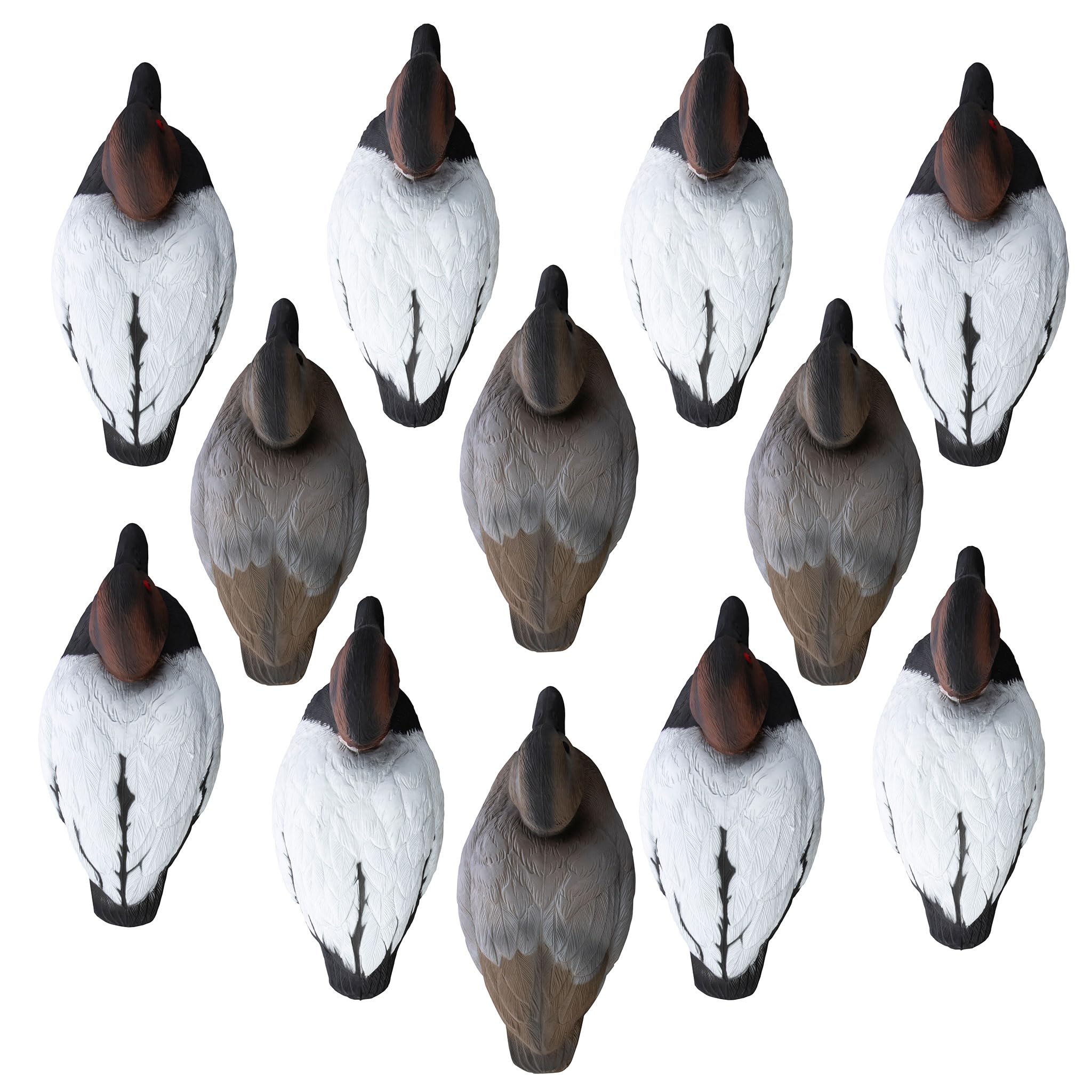 Higdon Outdoors canvasback standard-size decoys for easy transport and quick setup.