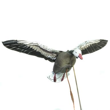 Higdon Outdoors Clone blue goose flapping motion decoy in action for realistic waterfowl lure.