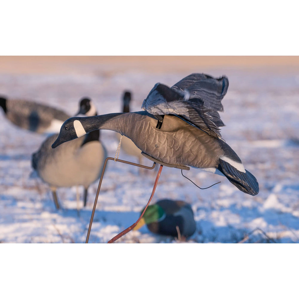 Higdon Outdoors Clone includes carry bag and stand for quick deployment.