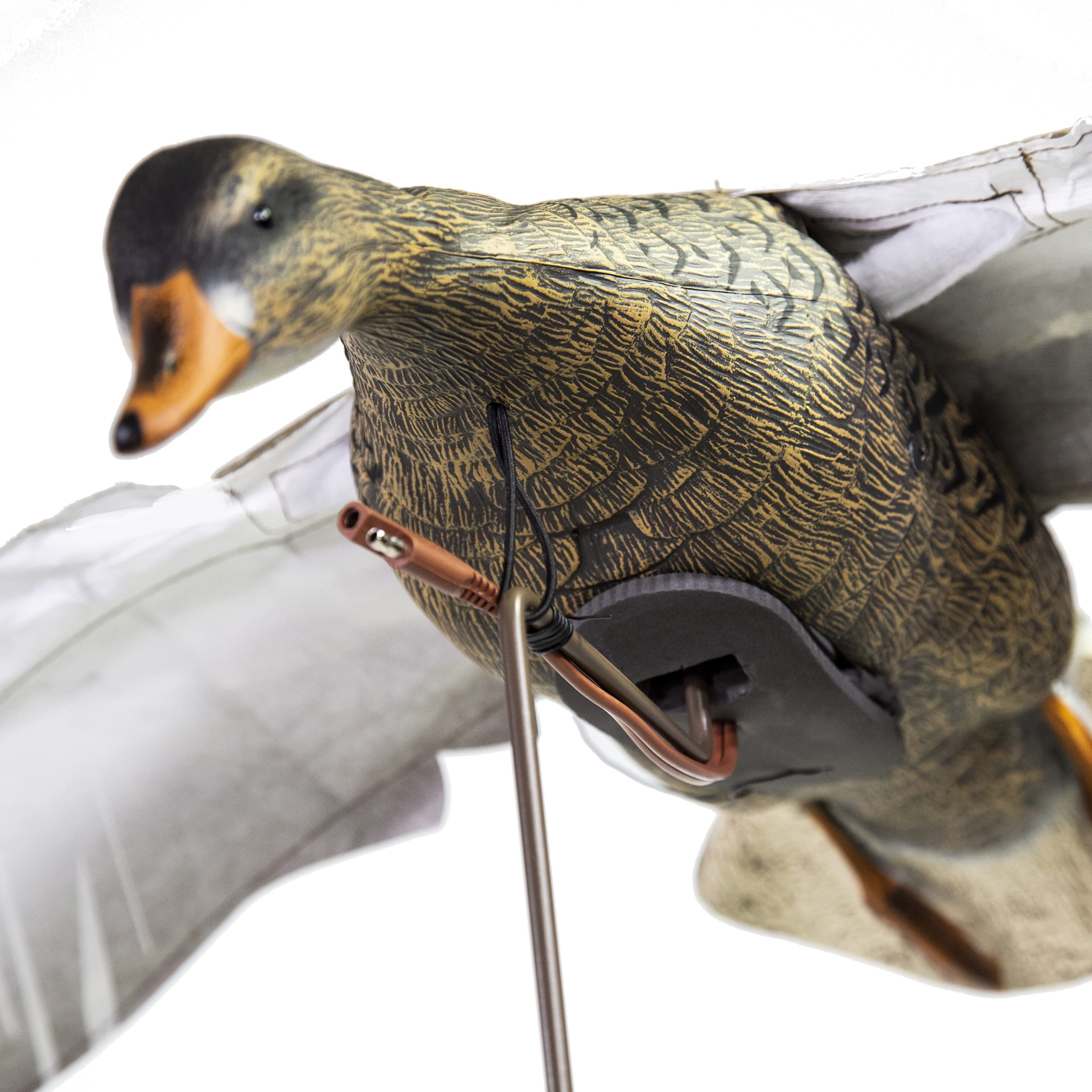 Higdon Outdoors Clone Mallard Hen durable design for extreme conditions and rugged waters