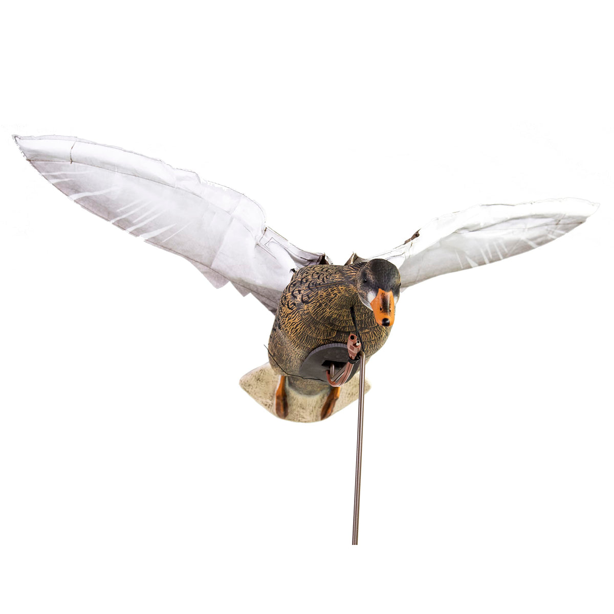 Higdon Outdoors Clone Mallard Hen flapping motion decoy for lifelike waterfowl attraction on marshes