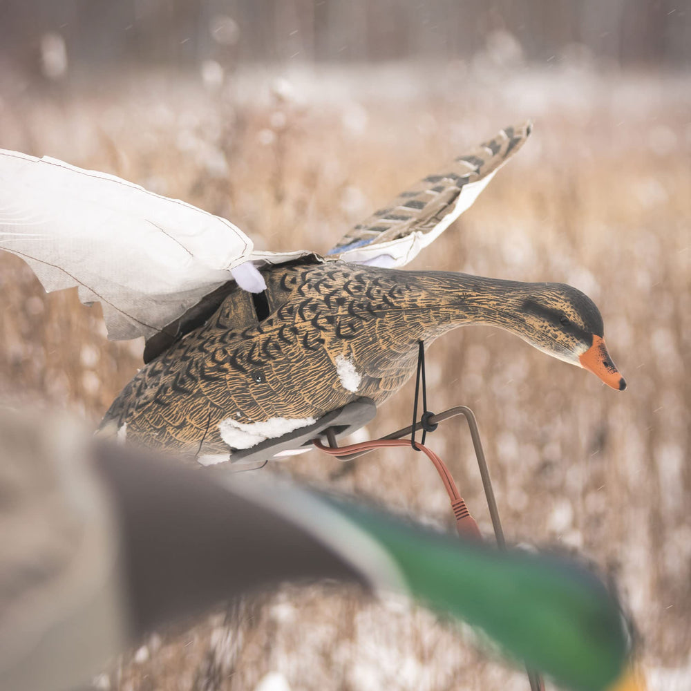Higdon Outdoors Clone Mallard Hen Power Pack compatibility enables multi-clone operation