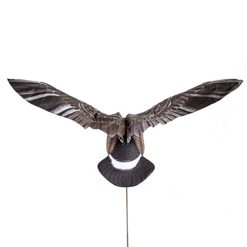 Higdon Clone with remote control, adjustable wing speed for versatile field setups.