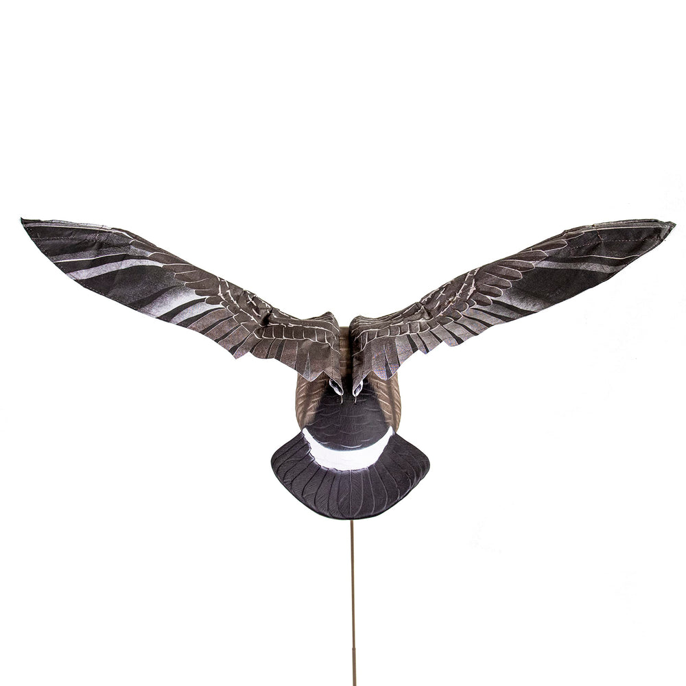 Higdon Clone with remote control, adjustable wing speed for versatile field setups.