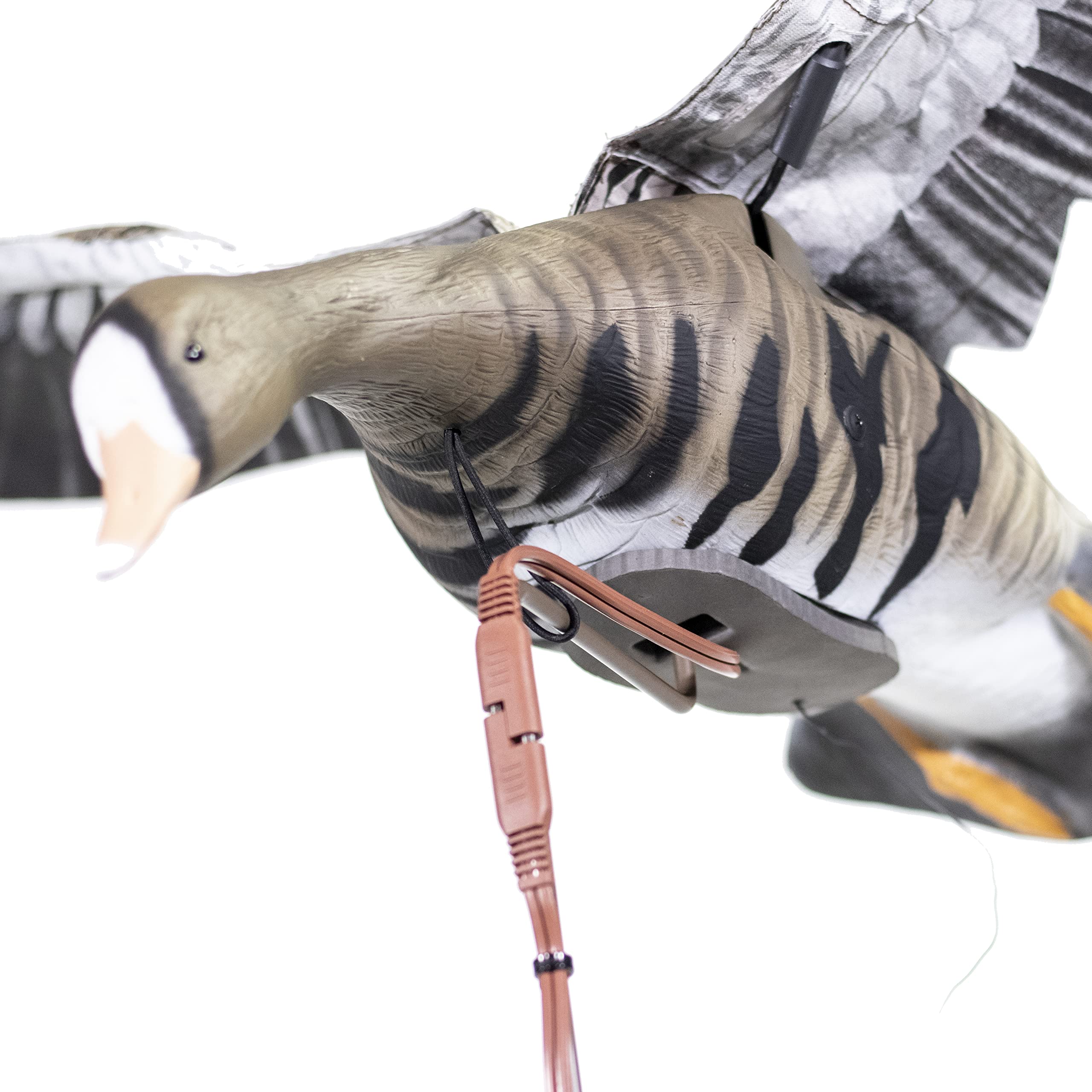 Higdon Outdoors Clone remote control demonstrates adjustable wing speed on the go.