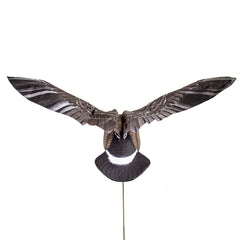 Higdon Clone with remote control, adjustable wing speed for versatile field setups.