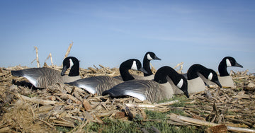 Higdon Outdoors feather-detail realism goose decoys convincing feathering for natural-looking setups