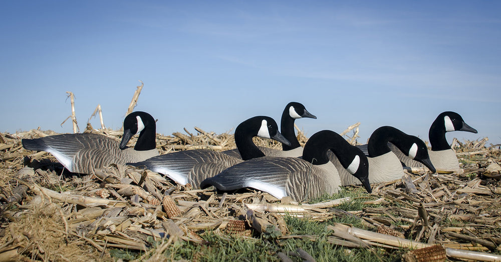 Higdon Outdoors feather-detail realism goose decoys convincing feathering for natural-looking setups