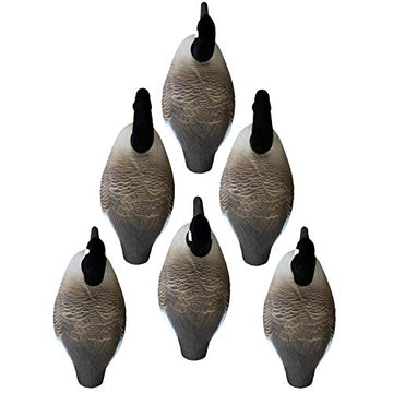 Higdon Outdoors 6-pack goose decoys setup-ready field-ready and versatile
