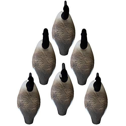 Higdon Outdoors 6-pack goose decoys setup-ready field-ready and versatile