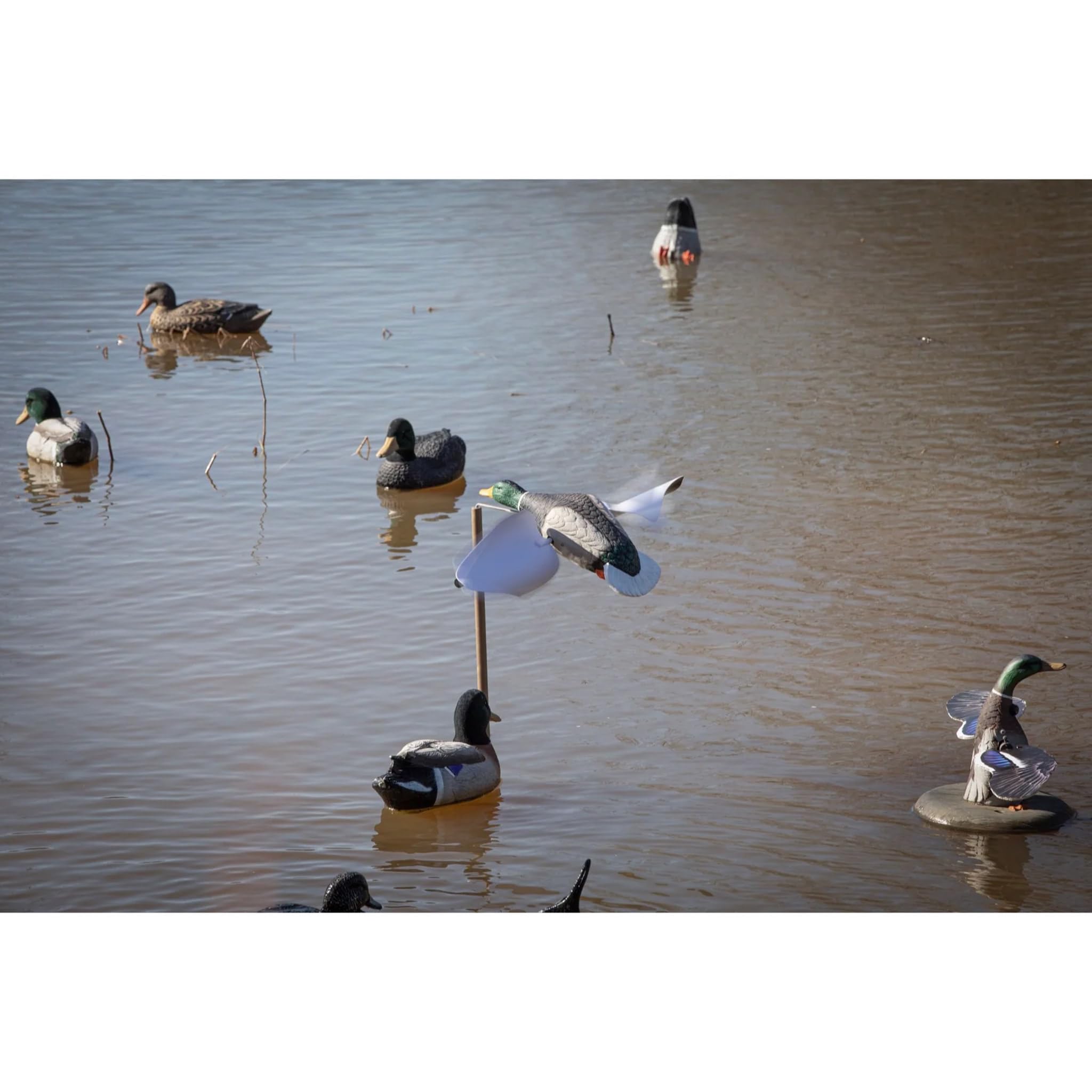 Compatible with Clone Water Stand for flexible field use.