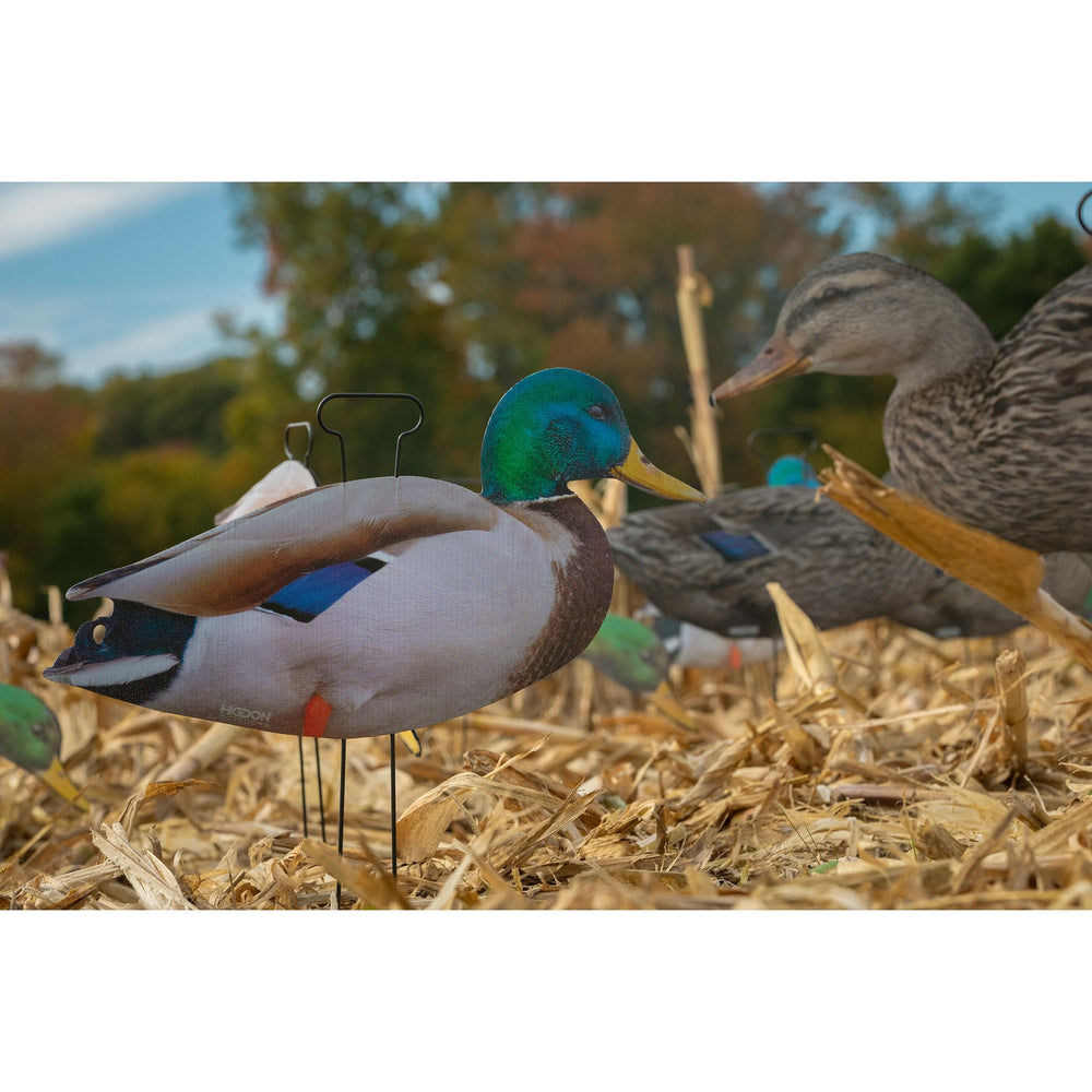 Higdon Outdoors Flats 12-pack setup with walk-and-feeder options for variety.