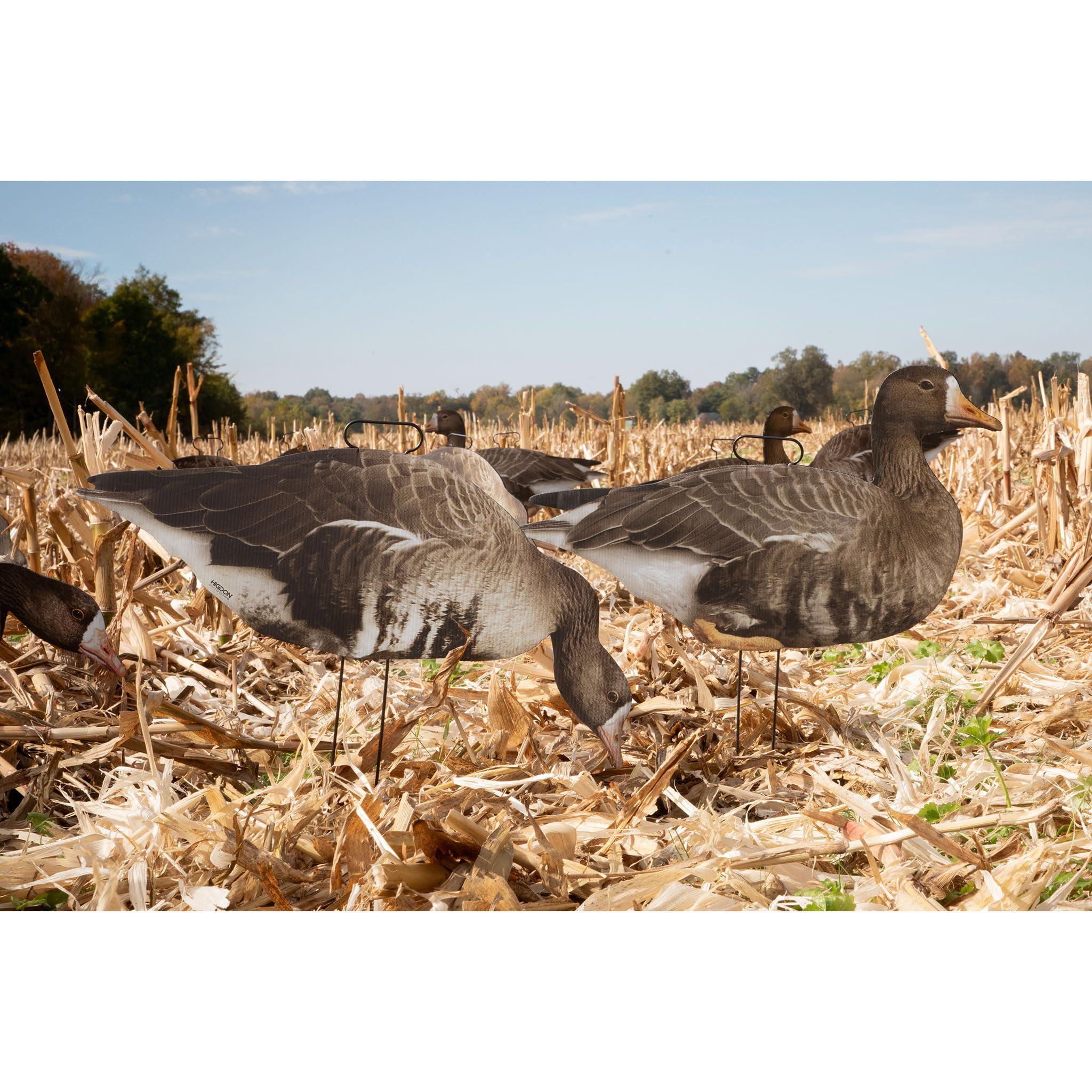 Higdon Outdoors Flats goose decoy with heavy-duty stake handles for easy retrieval