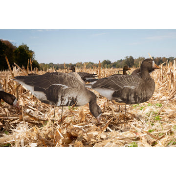 Higdon Outdoors Flats goose decoy with heavy-duty stake handles for easy retrieval
