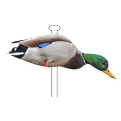 Higdon Outdoors Flats drake feeders show feeding pose to enhance realism.