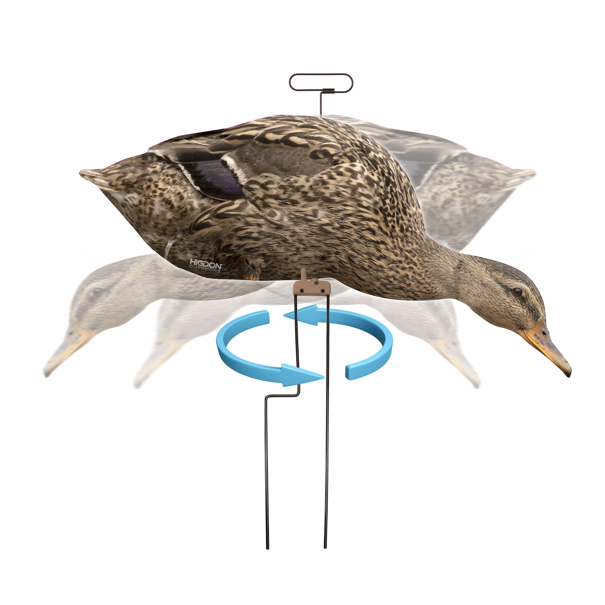 Higdon Outdoors Flats hen feeder decoy enhances coverage with varied postures.