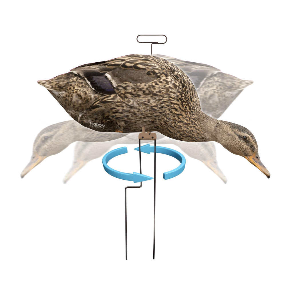Higdon Outdoors Flats hen feeder decoy enhances coverage with varied postures.
