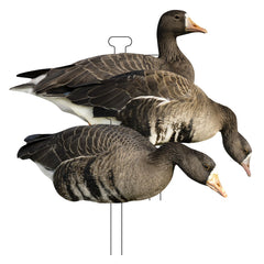Higdon Outdoors Flats specklebelly silhouette decoy with matte finish for waterfowl setups