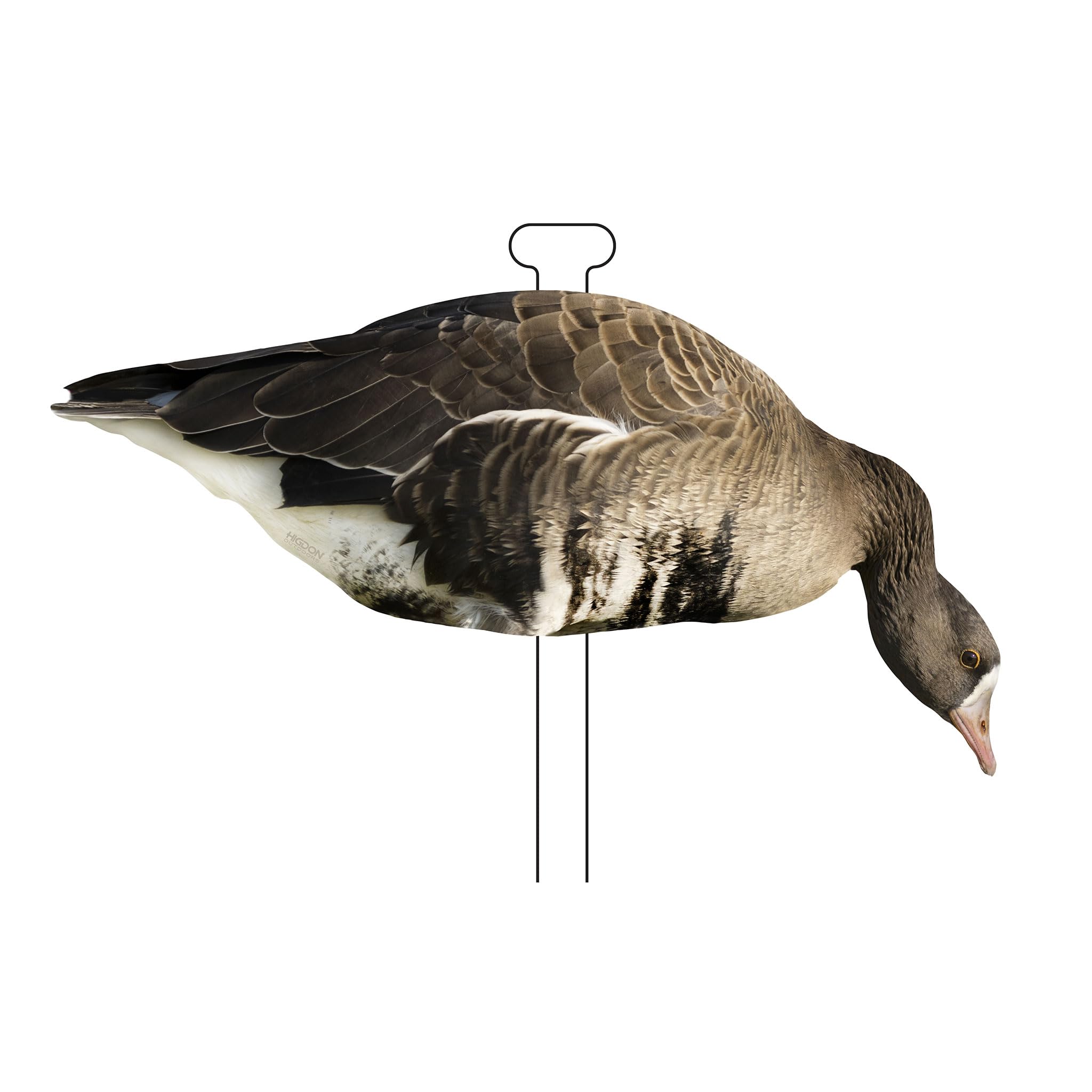 Higdon Outdoors Flats decoy on lightweight stake for easy field setup