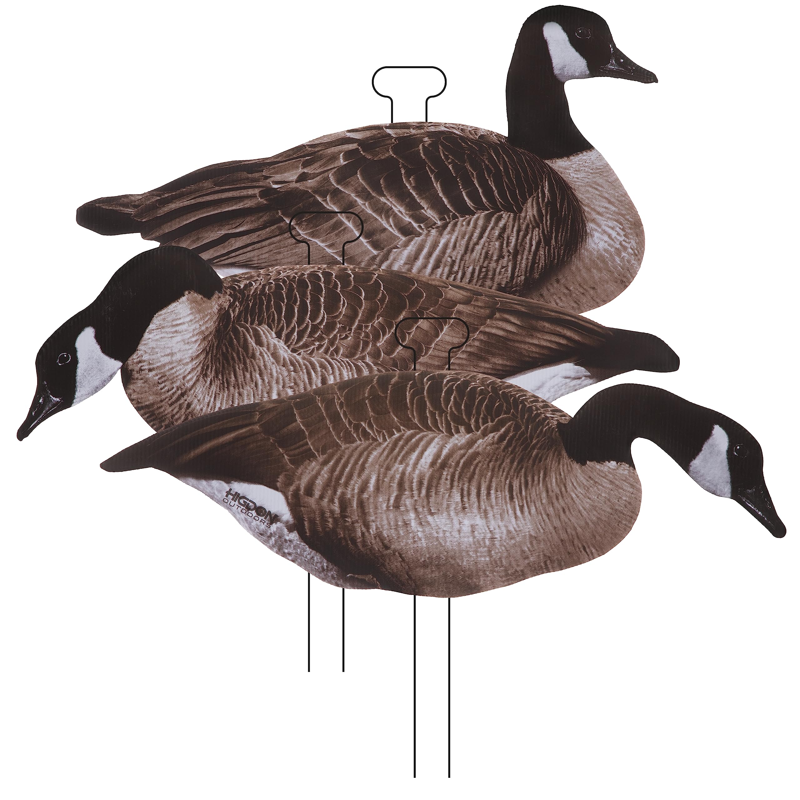 Higdon Outdoors Flats walkers decoys ready for rapid field setup