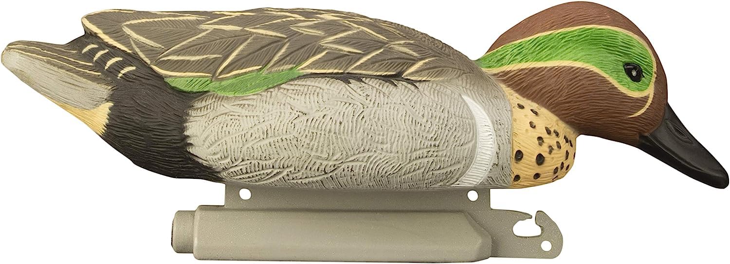Higdon Outdoors green-wing teal hen upright decoy balances flock appearance