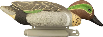 Higdon Outdoors green-wing teal hen upright decoy balances flock appearance