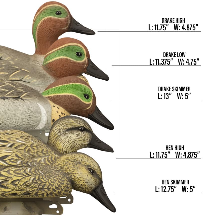 Higdon Outdoors green-wing teal pack-shot 6pk showcases a complete open-water spread
