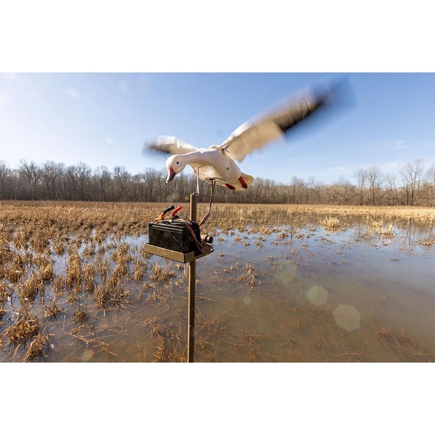 Higdon Outdoors clone water stand heavy-duty foot stomp provides sturdy deployment